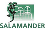 Профиль Salamander